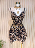 Animal Print Dress